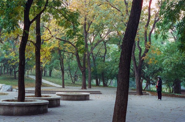 Découvrez les bienfaits des cosmétiques naturels pour votre peau