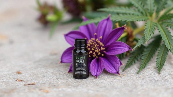 Découvrez les avantages des fleurs de cbd bio du chanvre du griffoul