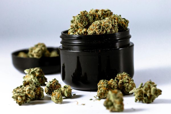 Fleurs de CBD bio : pourquoi choisir les produits du Chanvre du Griffoul